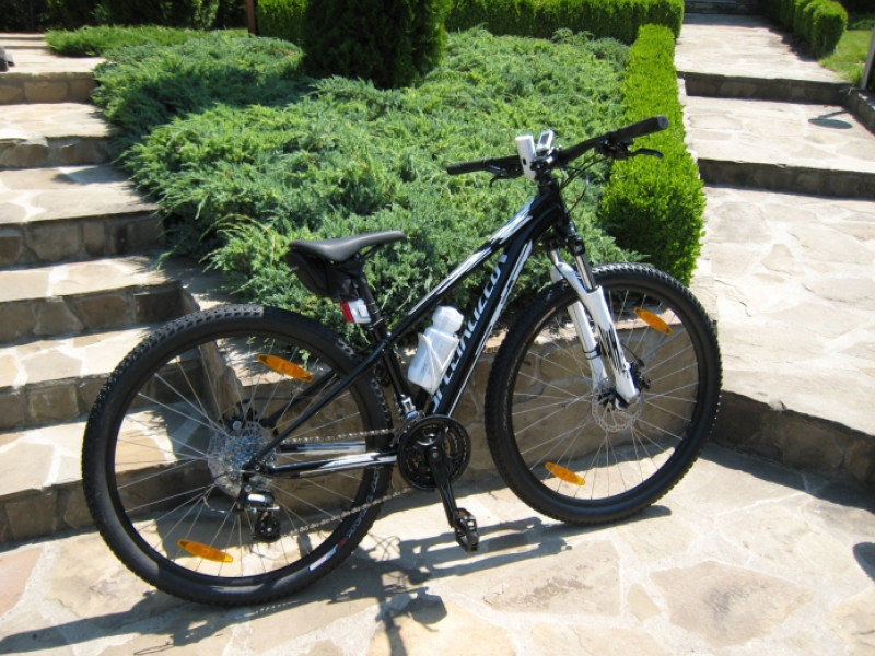 News - New bikes - The Sunny House